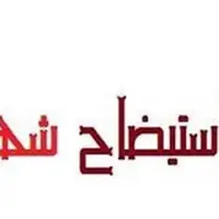 استیضاح شهردار سنندج پشت درب‌های بسته؛ چرا شورا شفاف‌سازی نکرد؟
