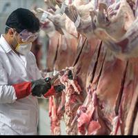 دامپزشکی؛ ستون اصلی امنیت غذایی و توسعه پایدار