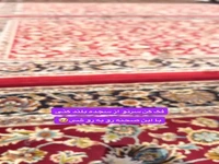 قشنگ ترین لحظه‌ای که می‌توان تصور کرد!
