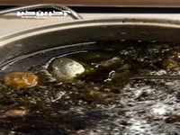 شما چه چاشنی به قرمه‌سبزیتون میزنید؟