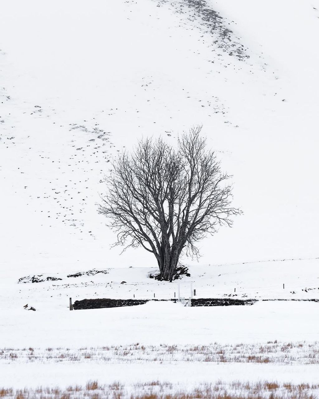 تصاویری از طبیعت زیبای ایسلند 