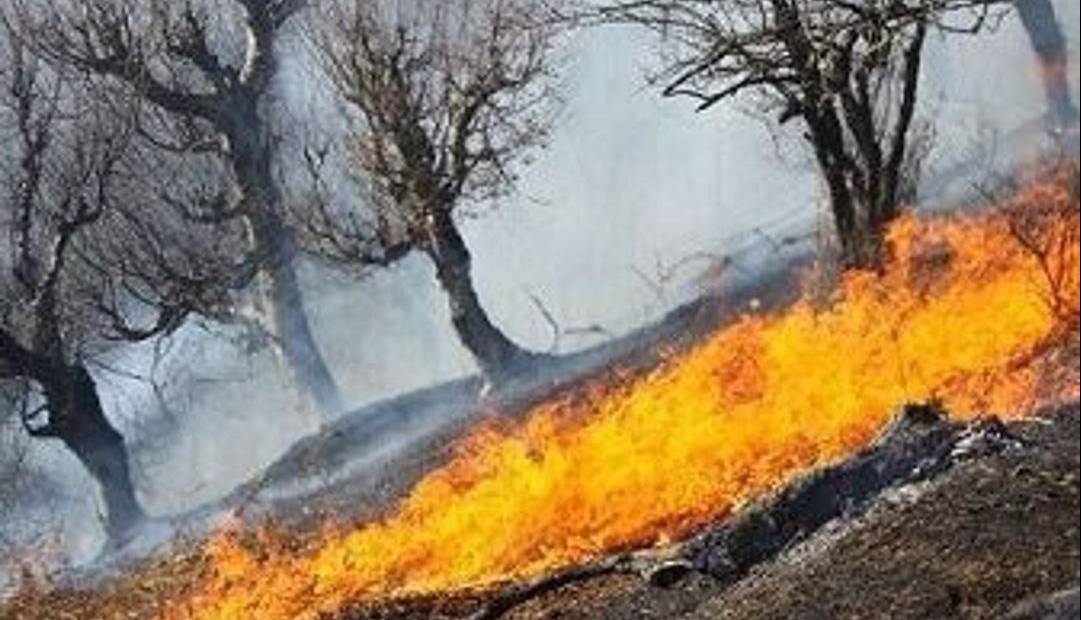 آتش‌سوزی در کوه‌های چرزو و مارین گچساران مهار شد