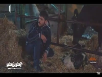 دارم صبر و حوصلمو از دست میدم!