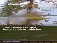 اصابت هولناک صاعقه به یک درخت