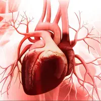 گیاه بادرنجبویه به عنوان یکی از بهترین گیاهان آرامبخش در بیماران قلبی