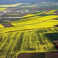 توصیه های هواشناسی همدان به کشاورزان برای جلوگیری از خسارت به محصولات