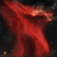 عکس روز ناسا از سحابی مارمولک
