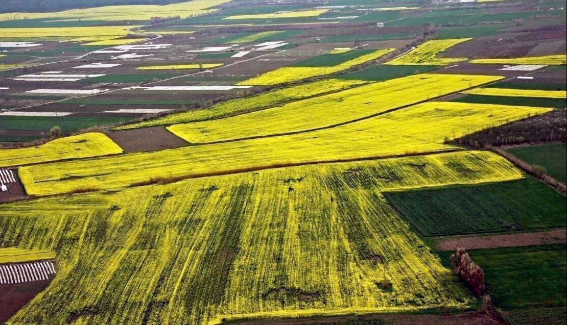 توصیه های هواشناسی همدان به کشاورزان برای جلوگیری از خسارت به محصولات