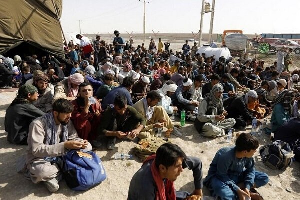 جمع آوری ۴۰۰ نفر اتباع بیگانه غیر مجاز در زابل