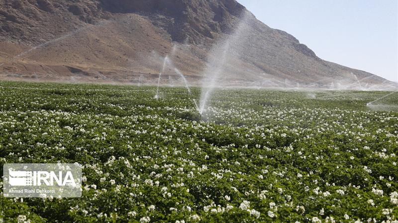 ارتقای بهره‌وری بخش کشاورزی اردبیل مستلزم توسعه سامانه‌های نوین آبیاری است