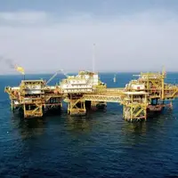 ظرفیت برداشت پایدار در آزادگان جنوبی ارتقا می‌یابد