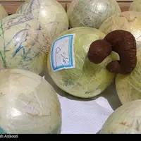 کشف ۲۲۵ کیلو تریاک در محور یاسوج؛ تعقیب‌وگریز پلیس با قاچاقچیان