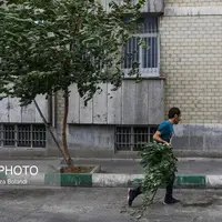 صدور هشدار هواشناسی؛ وزش باد شدید و گردوخاک در تهران