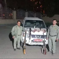 به دام افتادن گروه شکارچیان دامنه های سهند