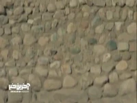 بر اونجای ناخونت که جوونه میزنه لعنت!