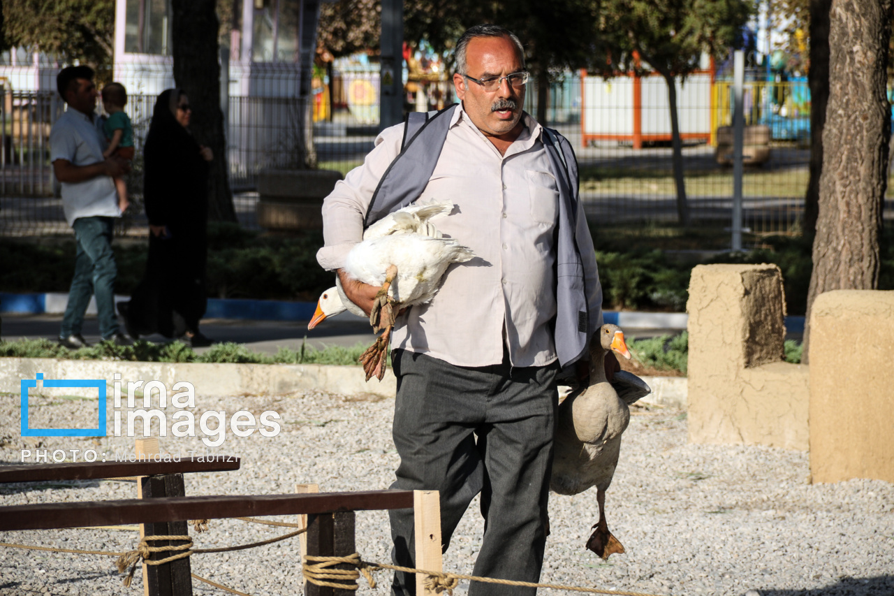 هشتمین جشنواره انگور ارومیه