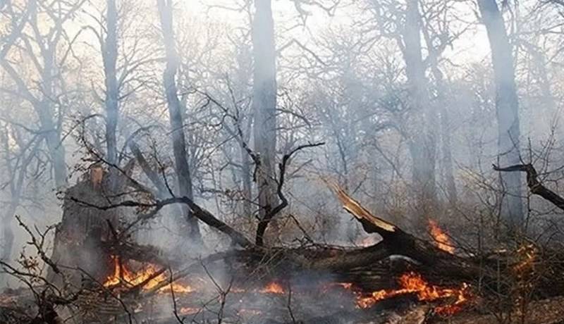 منشأ انسانی آتش‌سوزی‌های بخش چلو در حال بررسی است