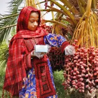 سیستان‌ و بلوچستانی‌ها سالانه چند هزار تن خرما صادر می‌کنند؟