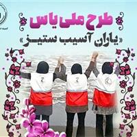 طرح ملی یاس در راستای توانمندسازی مددجویان زنجانی اجرا شد