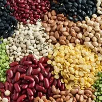 اندازه حبوبات برای غذاهای دونفره  