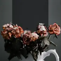 طرح/ مرگ را میان شما مقدّر کردیم