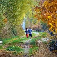 پایان گرمای تابستان؛ روند کاهشی دما در خراسان رضوی آغاز شد