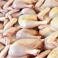 قیمت انواع گوشت مرغ تازه و بسته‌بندی و قطعه‌بندی اعلام شد