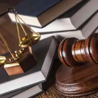 دستگیری همسر سابق بازیگر معروف به جرم کلاهبرداری اینترنتی