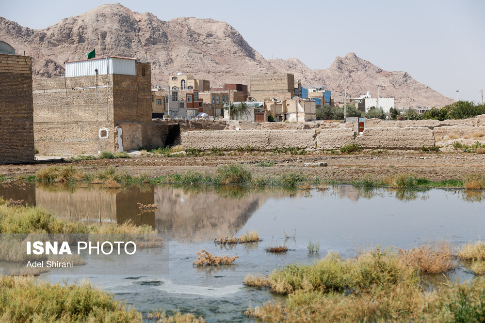 عکس/ تصاویر «منتخب هفته»