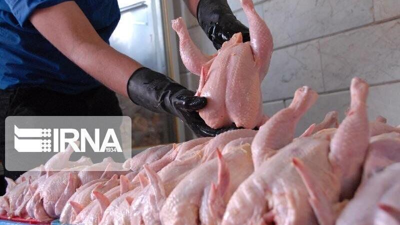 ۵۰ هزار تن گوشت مرغ در کردستان تولید شد