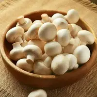 قیمت قارچ ۳ برابر شد
