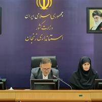 ۳۰۰ واحد نانوایی در استان زنجان دوگانه‌سوز شد