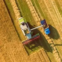 عدم توافق درباره نرخ خرید تضمینی گندم