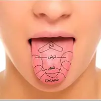 ما چطور مزه‌ها را تشخیص می‌دهیم؟