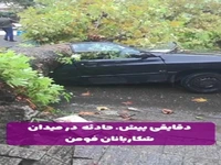 سقوط خسارت‌بار درخت‌های چنار