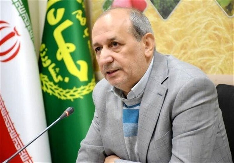 هوراند قطب سماق کشور میشود