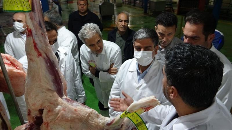 زنجیره تولید در کشتارگاه اردبیل تکمیل می شود