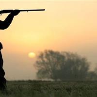 دستگیری شکارچیان گراز در ایلام