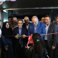 جشنواره ملی آش و نمایشگاه صنایع دستی کشور در زنجان افتتاح شد
