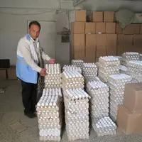 کشف ۱۰ تن تخم‌مرغ تاریخ گذشته در اسلامشهر