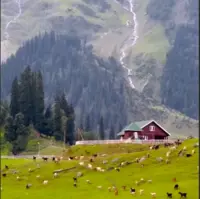 منظره زیبایی از کشمیر هندوستان 
