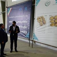 استاندار: مرکز پرتودهی محصولات کشاورزی اردبیل افتتاح می‌شود