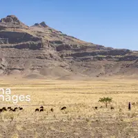  بی آبیِ دریا