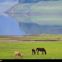 عکس/ طبیعت چشم‌نواز سد لفور 