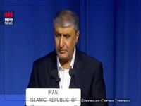 اسلامی: سکوت و بی‌عملی آژانس و مدیرکل به عنوان لکه ننگی در تاریخ باقی خواهد ماند