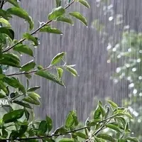 هشدار هواشناسی کرمان برای تداوم بارش‌ و احتمال سیلاب