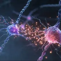یک کشف جدید درباره جهش ژن آلزایمر