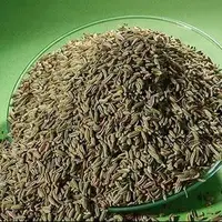 حساسیت به رازیانه 