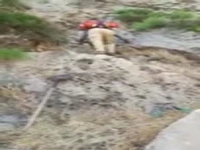 جدال با خشکسالی در مناطق حفاظت‌شده کهگیلویه و بویراحمد