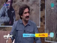 فعالیت‌هایی که باید برای حفظ یوز پلنگ‌ها انجام داد   